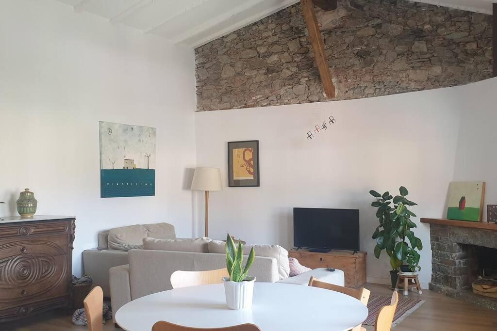 Apartamento Centrico Con Vistas! Camprodon Eksteriør billede